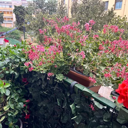 Savia Catania