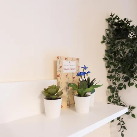 Savia Apartment *